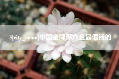 曹县中国金牌哪六金最值钱的