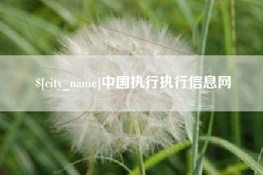 曹县中国执行执行信息网