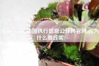 曹县中国执行信息公开网官网app为什么要钱呢
