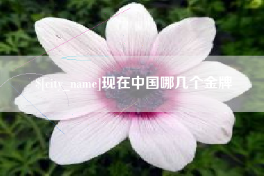 曹县现在中国哪几个金牌