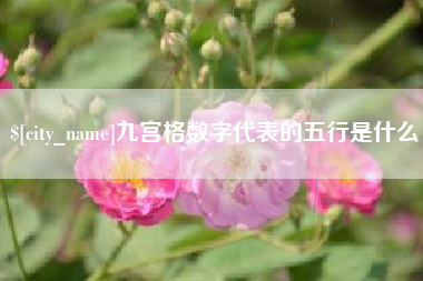 曹县九宫格数字代表的五行是什么