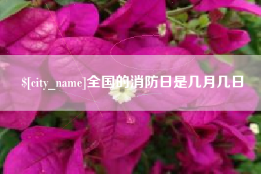 曹县全国的消防日是几月几日
