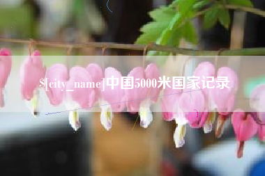 曹县中国5000米国家记录