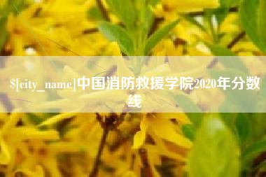 曹县中国消防救援学院2020年分数线