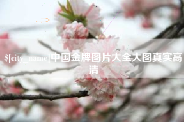 曹县中国金牌图片大全大图真实高清