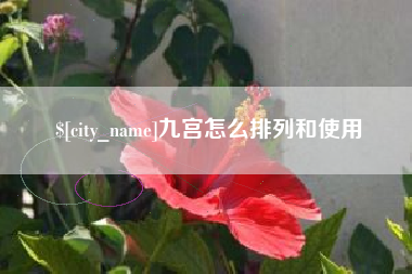 曹县九宫怎么排列和使用