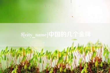 曹县中国的几个金牌