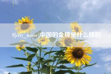 曹县中国的金牌是什么样的