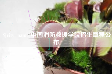 曹县中国消防救援学院招生章程公布!