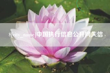 曹县中国执行信息公开网失信