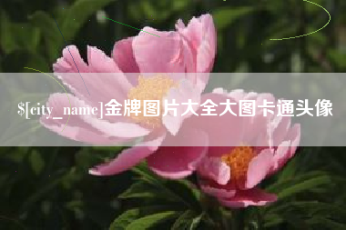 曹县金牌图片大全大图卡通头像