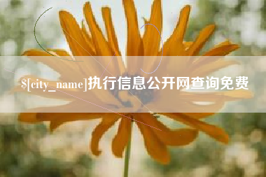 曹县执行信息公开网查询免费