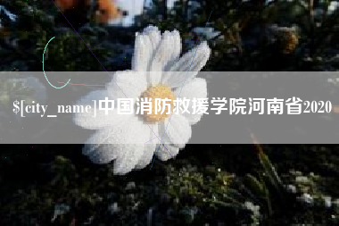 曹县中国消防救援学院河南省2020